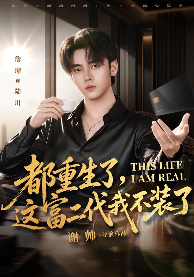 都重生了，这富二代我不装了海报