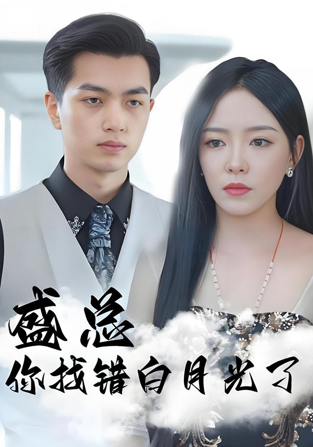 盛总你找错白月光了海报